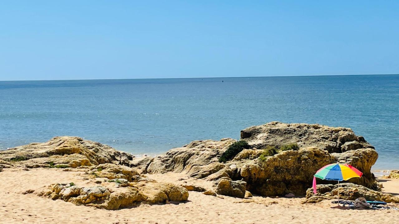 Bicos 101 Cip Albufeira